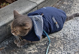 IMG_8620-7.jpg