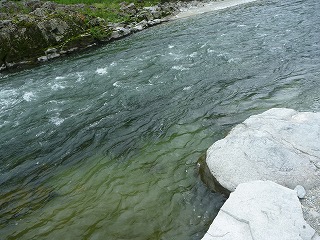 P1100757.jpg