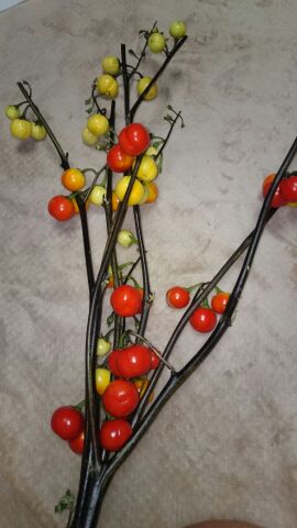 rblog-20140826205421-01.jpg