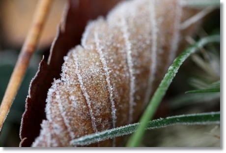 大野湊緑地公園-5 15.1.21