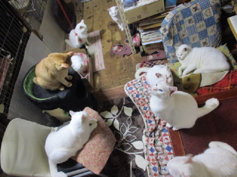 16a0813.jpg