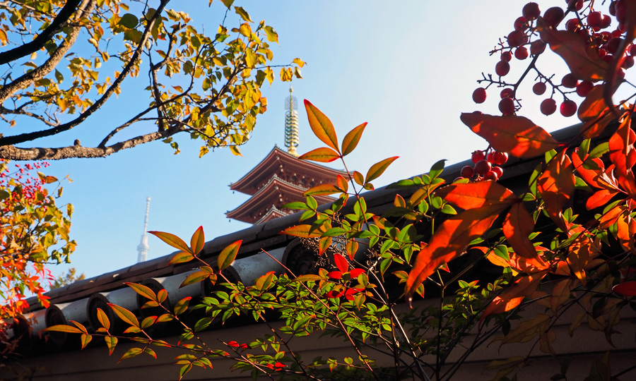 20141122_12521502.jpg