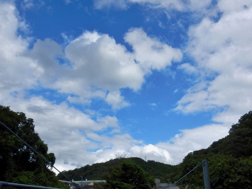 空4.JPG