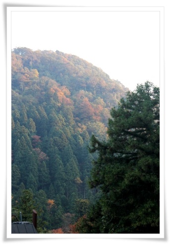 鶴仙渓-65 ゆげ街道-13 夕暮れの山 13.11.16