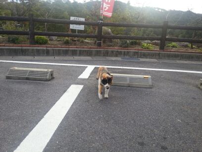rblog-20141026162008-02.jpg