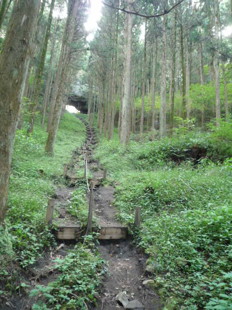 P1050576.JPG