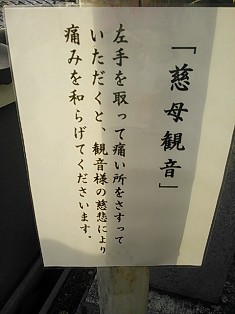 NEC_0027.JPG