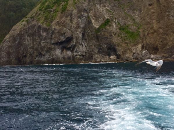 rblog-20160904173020-04.jpg