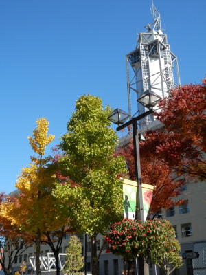 紅葉樹と市庁舎　11.16