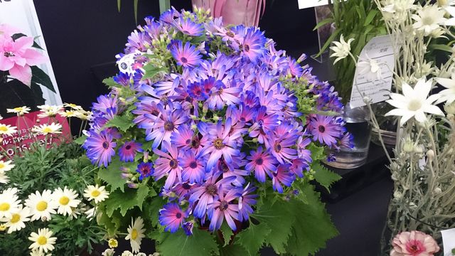 2016-02-14 11.22.30.jpg