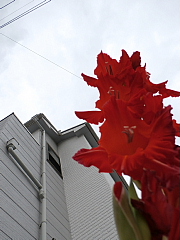 conv0352.JPG