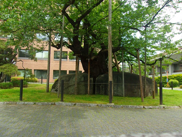 100_4241.jpg
