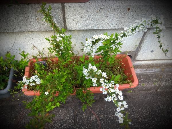 rblog-20160330184054-06.jpg