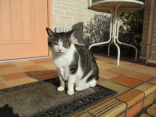 IMG_4271ss.jpg