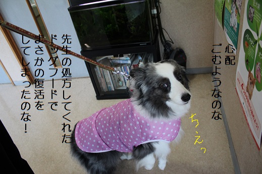 ちぇ