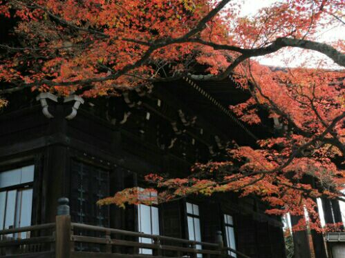 rblog-20151130180751-01.jpg