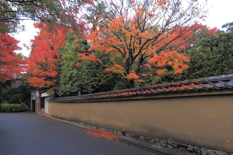 東福寺_003.jpg