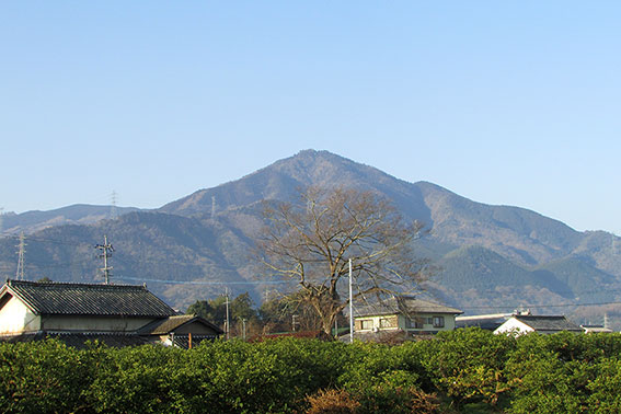高越山2015/3/17-2
