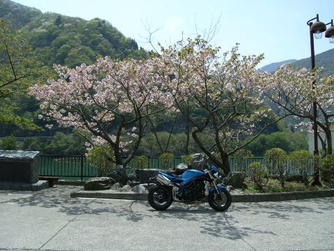 R0012028.JPG