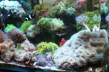 2014_1228全景0005.JPG