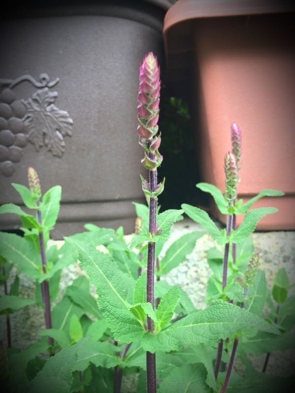 rblog-20160427174116-02.jpg
