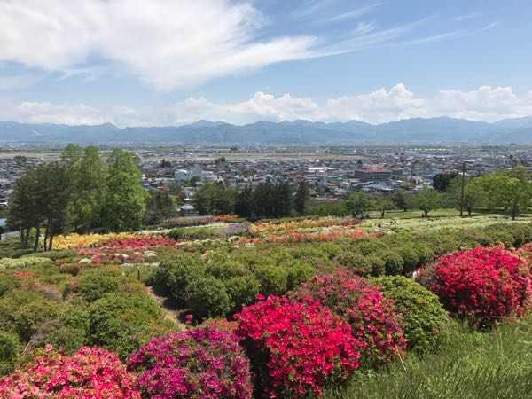 rblog-20170519112607-09.jpg