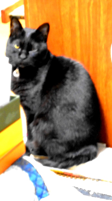 DSC01507 - コピー.JPG