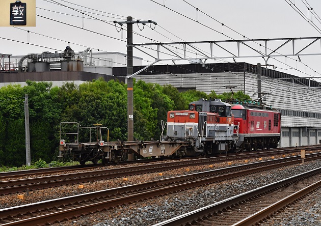 DSC_2669.JPG
