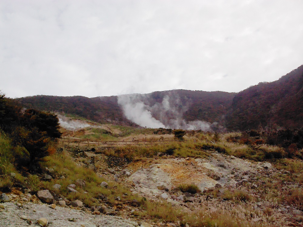 IMG_20131031_150018.jpg
