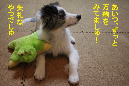 あいつ