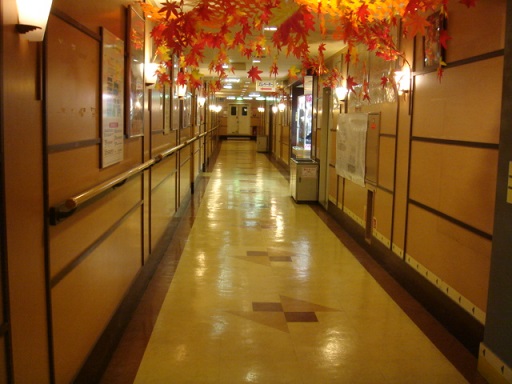 DSC00729.JPG