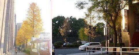 日比谷通り画像4.jpg