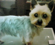 2012-12-01 22:25:48