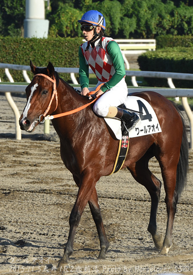 04CoolAoi110515tck1R_04