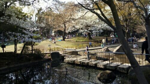 rblog-20180326144149-01.jpg