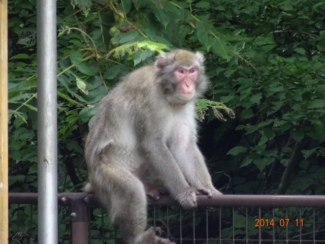 DSC04417_R.JPG
