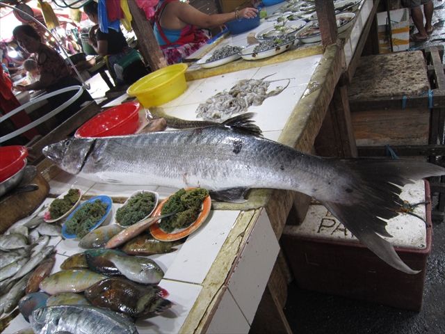 セブ島 市場の魚 マーケットで売られている魚 その１ リタイア生活 セブ島のひま人 楽天ブログ