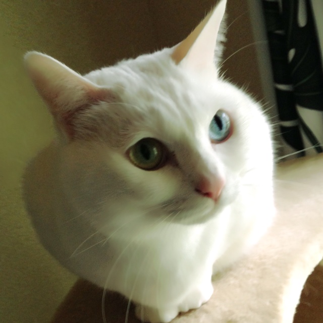 rblog-20130328122841-02.jpg