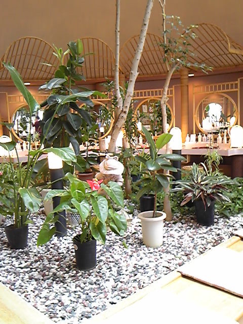 161109_085757.jpg