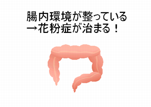 腸.PNG