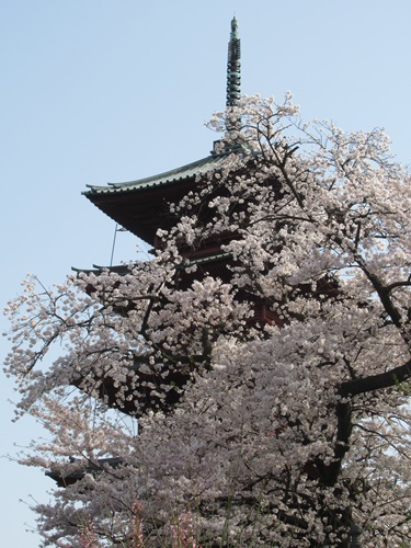 池上本門寺 ＆ 池上本門寺周辺にて