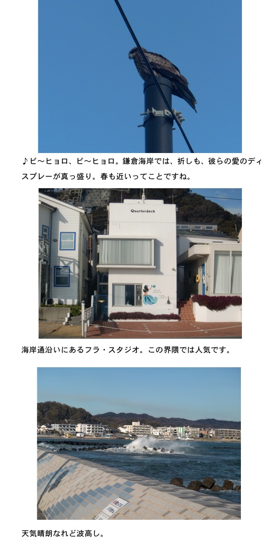2013.02.09-3.jpg