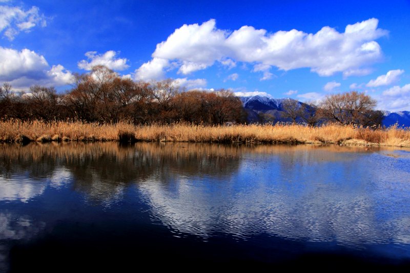 なぎさ公園_10-4.jpg
