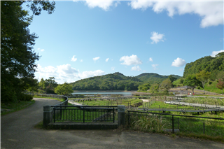 P1020888.png