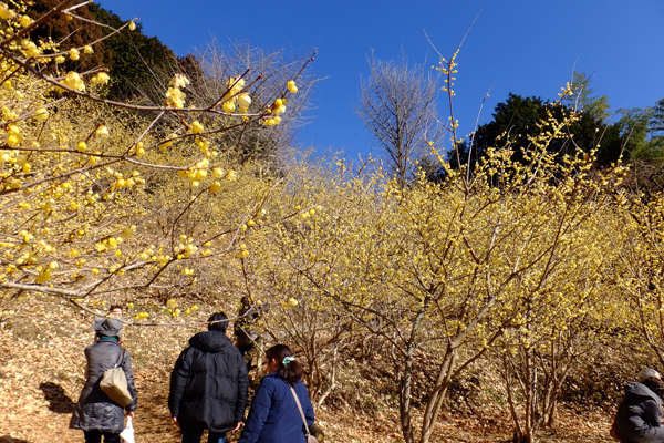 DSCF6456.jpg
