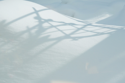 2016-02-27kage.JPG