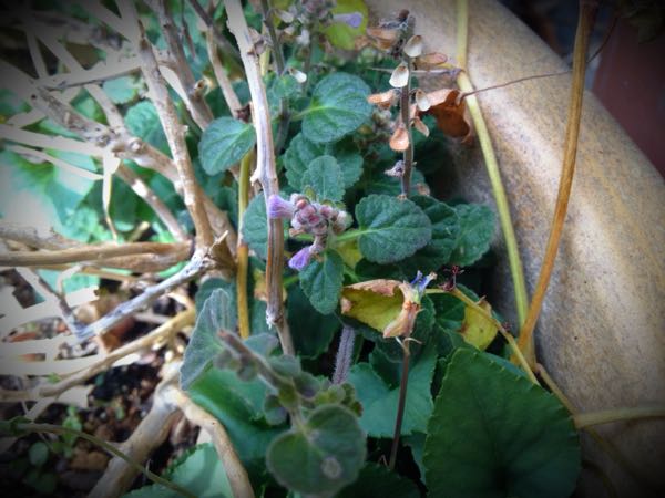 rblog-20141225200724-02.jpg