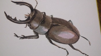 20130314-3.jpg
