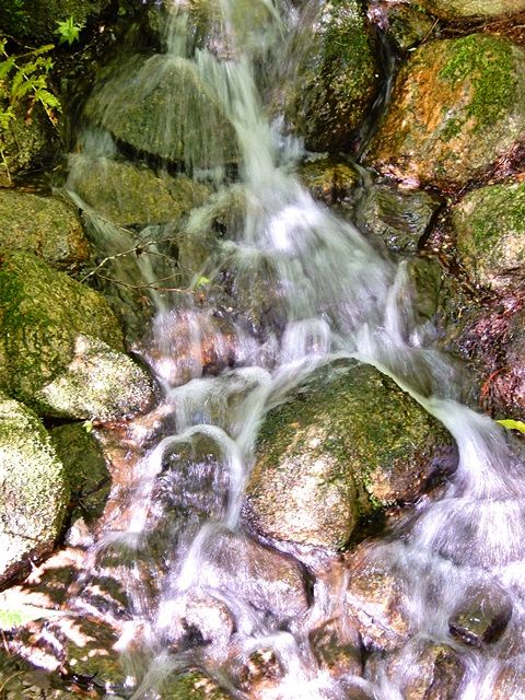 長谷池北岸3