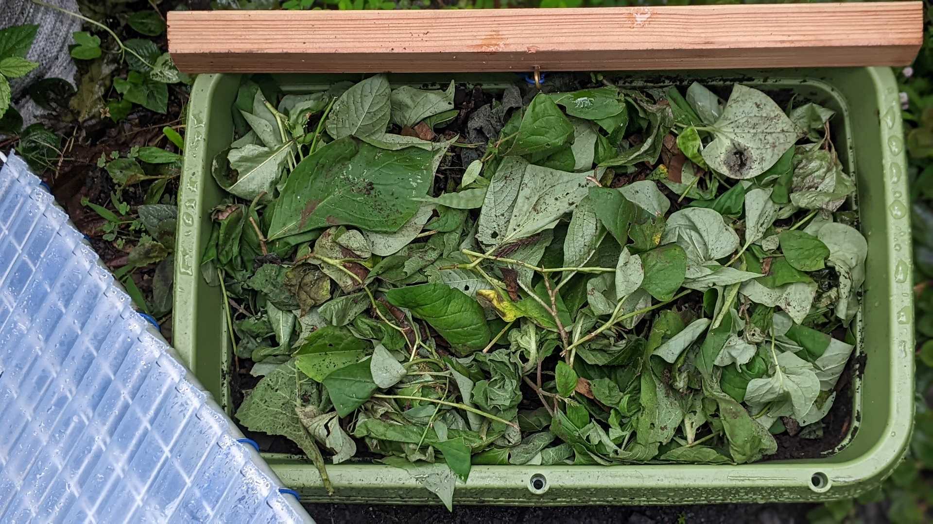 キエーロを作って一週間 ぐり~んおあしす (Oniwa cafe) 楽天ブログ